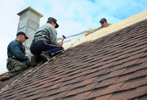 Quick and Trustworthy Emergency Roof Repair Services in Homewood, SC